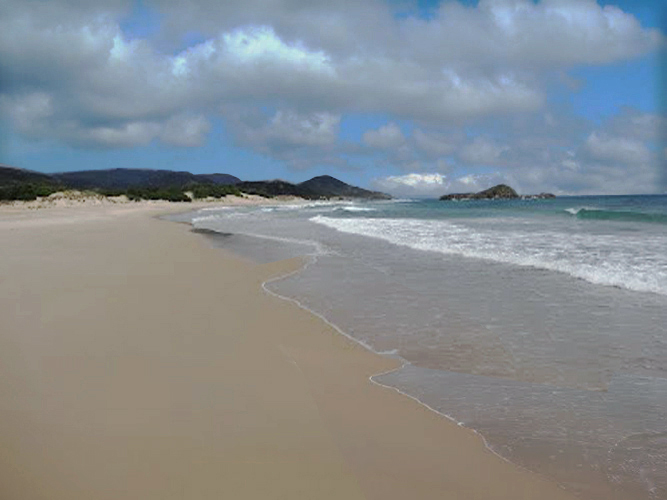 n_16  Chia-Strand.jpg